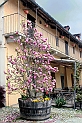48 Edifici annessi